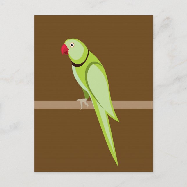 Green ringneck parrot vector postcard (Front)