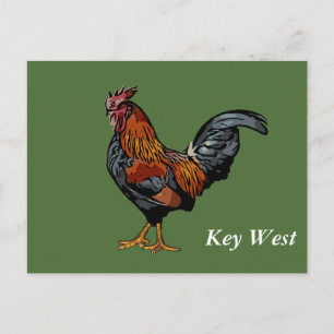 Green Rooster Key West Post Card