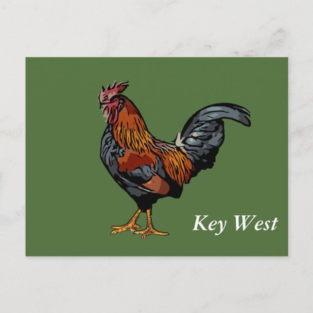 Green Rooster Key West Post Card (Front)