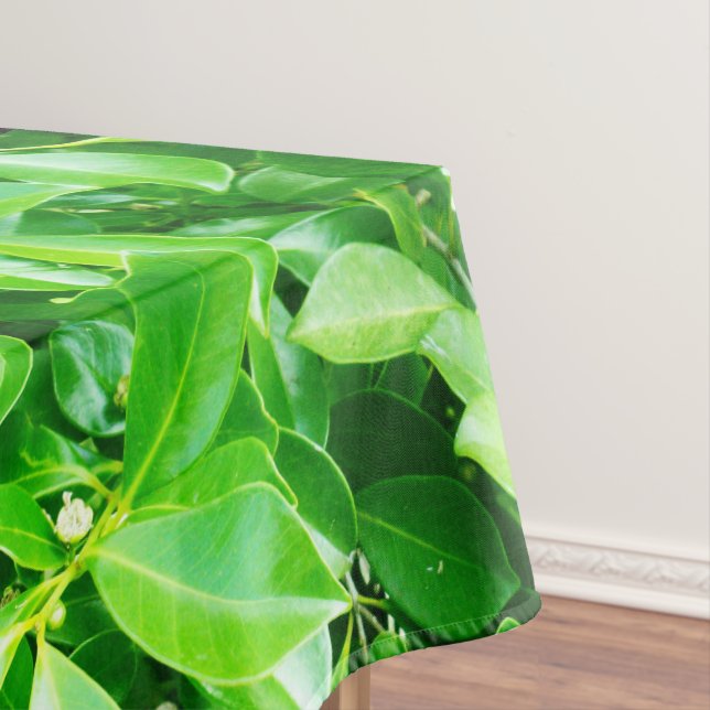 Green Rubber Tree Leaves, Tablecloth (In Situ)