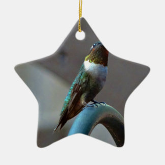 Green Ruby little Hummingbird Ceramic Ornament