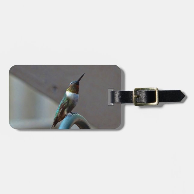 Green Ruby little Hummingbird Luggage Tag (Front Horizontal)