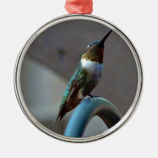 Green Ruby little Hummingbird Metal Ornament