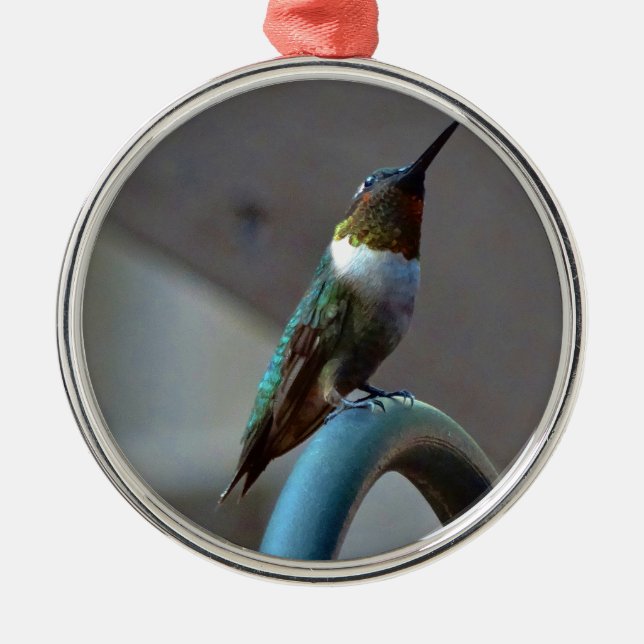 Green Ruby little Hummingbird Metal Ornament (Front)