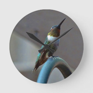 Green Ruby little Hummingbird Round Clock