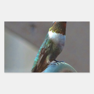 Green Ruby little Hummingbird Sticker