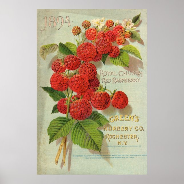 Green’s Nursery Co. Advertisement Poster (Front)