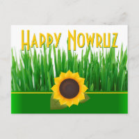 Green Sabzeh Sunflower Iranian New Year Nowruz