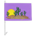 Green Saguaro Cactus Desert Sunset Thunder_Cove