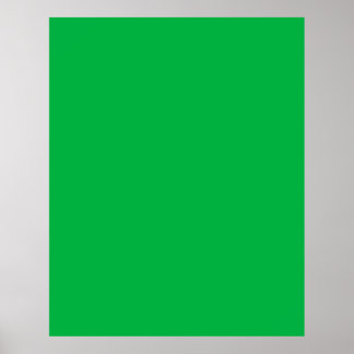 Green Screen Poster for Zoom Calls