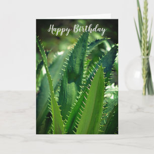 Green Sea Leaf Garden Plant Happy Birthday Card
