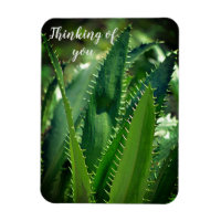 Green Sea Leaf Garden Plant Thinking of You