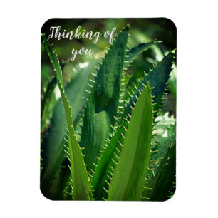 Green Sea Leaf Garden Plant Thinking of You Magnet