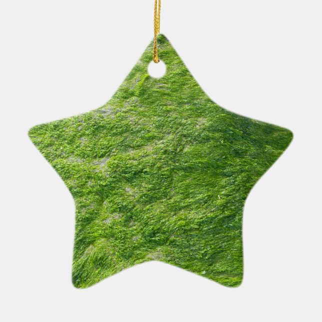 Green Sea Moss Nature Grass Beach Nautical Ceramic Ornament (Front)