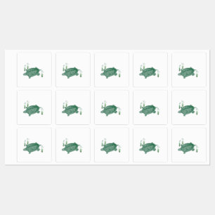 Green Sea Turtle