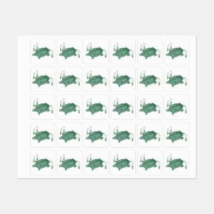 Green Sea Turtle