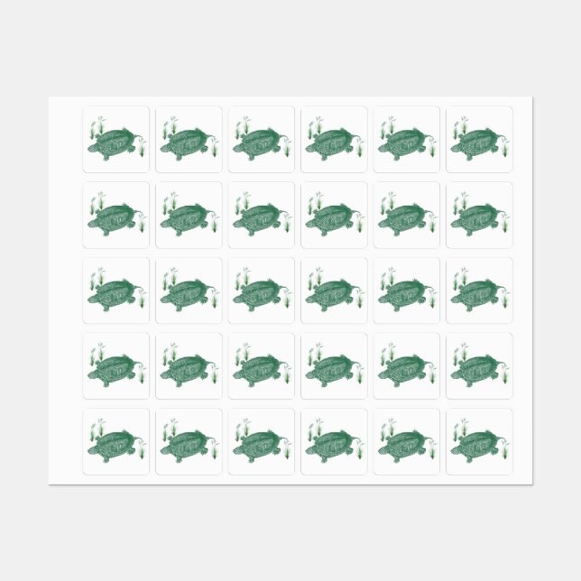 Green Sea Turtle (Sheet)