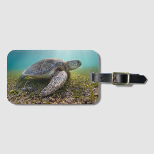 Green Sea Turtle At Dusk Akumal Bay Luggage Tag