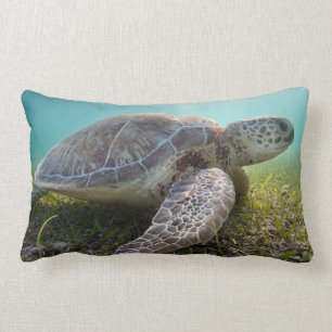 Green Sea Turtle At Dusk   Akumal Bay Lumbar Pillow