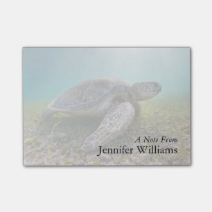 Green Sea Turtle At Dusk   Akumal Bay Post-it Notes