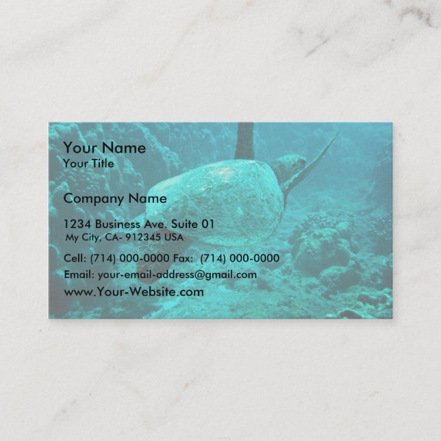 Green Sea Turtle Business Card (Front)