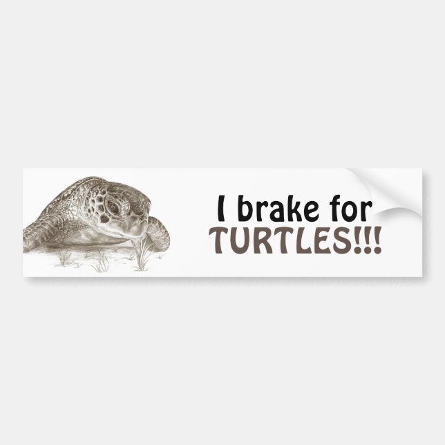 Green Sea Turtle Drawing Bumper Sticker (Front)