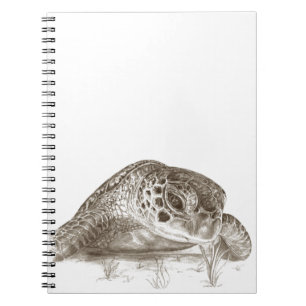 Green Sea Turtle Drawing Notebook