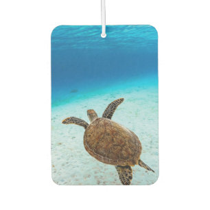 Green sea turtle, Green turtle, Sea turtle Air Freshener
