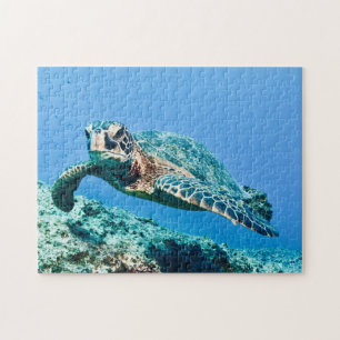 Green Sea Turtle  Jigsaw Puzzle