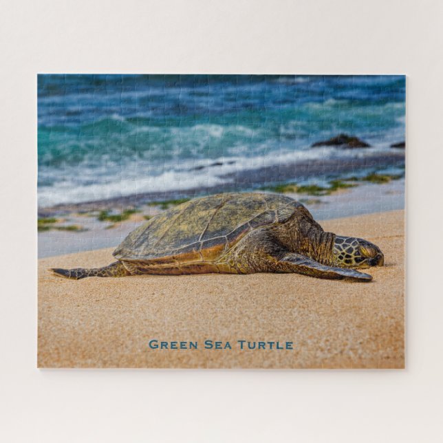Green Sea Turtle Jigsaw Puzzle (Horizontal)