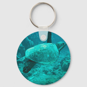 Green Sea Turtle Keychain