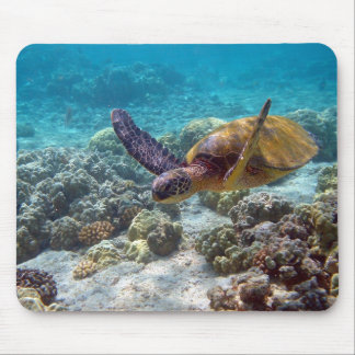 Green Sea Turtle Mouse Pad