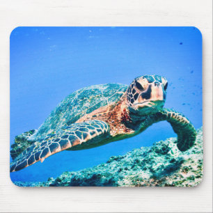 Green Sea Turtle Mouse Pad