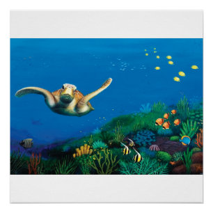 Green Sea Turtle Poster Print