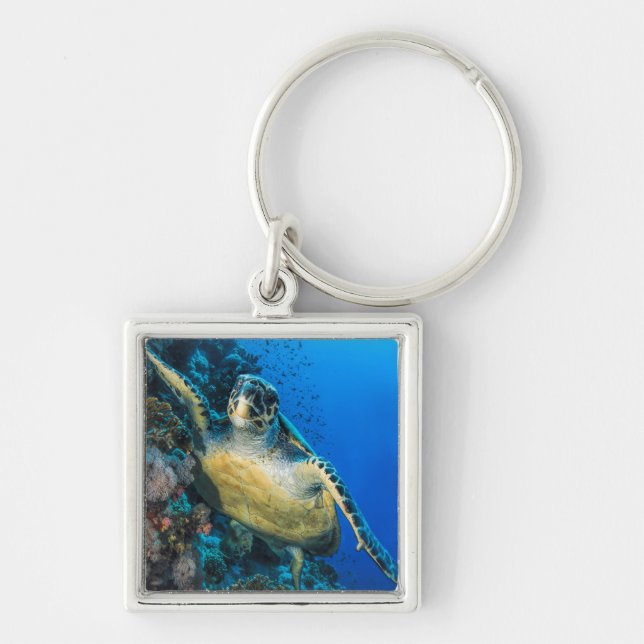 Green Sea Turtle | Red Sea Keychain (Front)