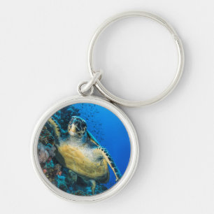 Green Sea Turtle   Red Sea Keychain
