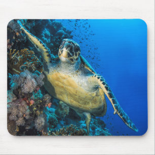Green Sea Turtle Red Sea Mouse Pad