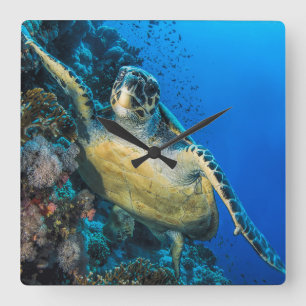 Green Sea Turtle Red Sea Square Wall Clock