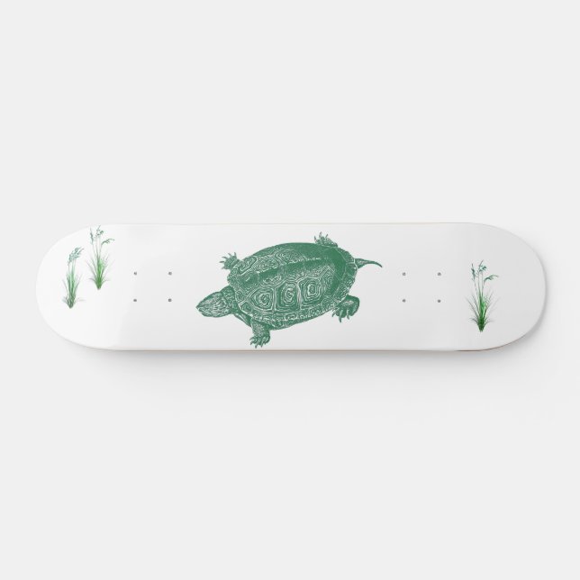 Green Sea Turtle Skateboard (Horz)
