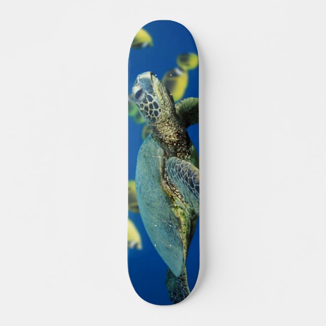 Green Sea Turtle Skateboard (Front)