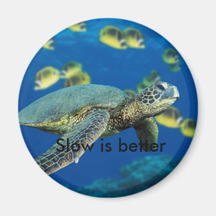 Green Sea Turtle, Slow is better Magnet