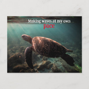 Green sea turtle swimming underwater postcard