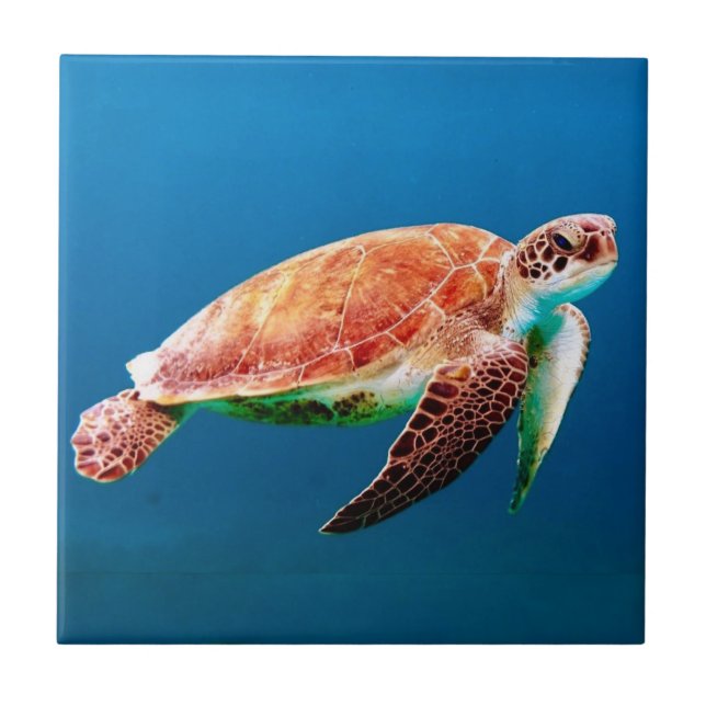 Green Sea Turtle  Tile (Front)