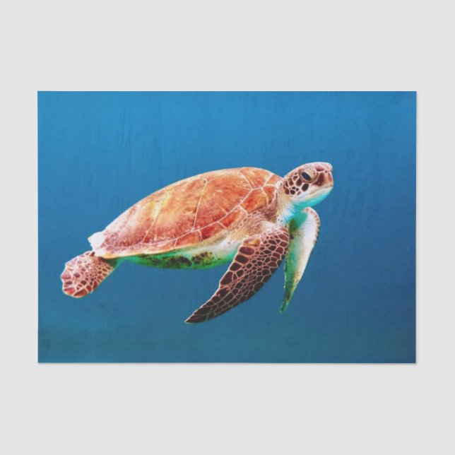 Green Sea Turtle  Tissue Paper (Front)