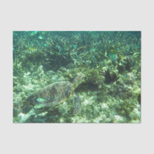 Green Sea Turtle, Tropical Fish and Coral  Tissue Paper