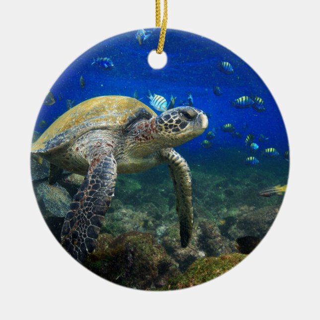 Green sea turtle underwater Galapagos paradise Ceramic Ornament (Front)