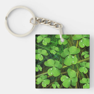 Green Shamrock St Patrick's iPhone 5 Case-Mate Keychain