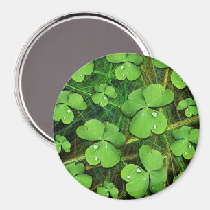 Green Shamrock St Patrick's iPhone 5 Case-Mate Magnet