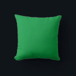 Green Simple Solid Colour Throw Pillow<br><div class="desc">Red Simple Solid Colour Throw Pillow</div>