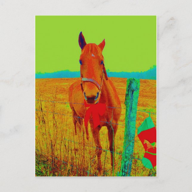Green sky , red bow Horse : add name Postcard (Front)